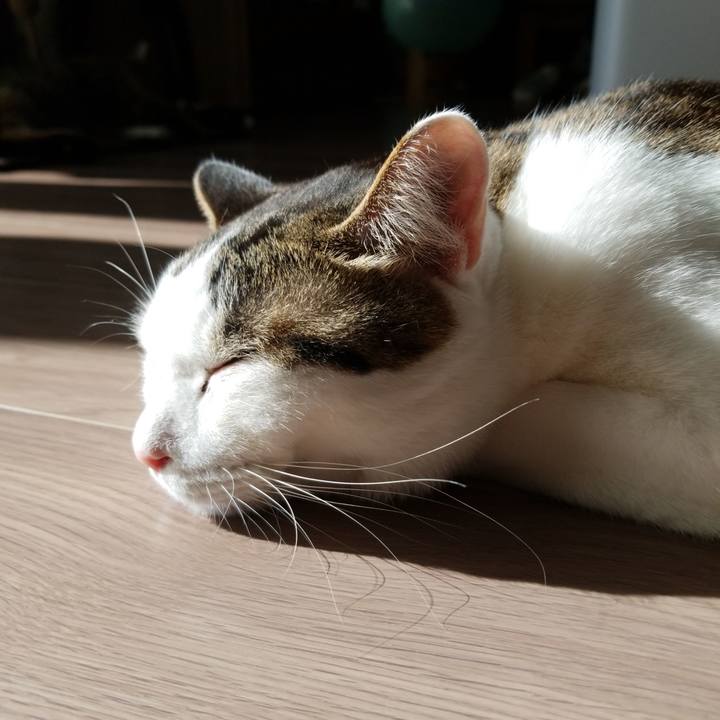 98097c9e c47f 4f74 badd af9e43798d0b 1577757159401