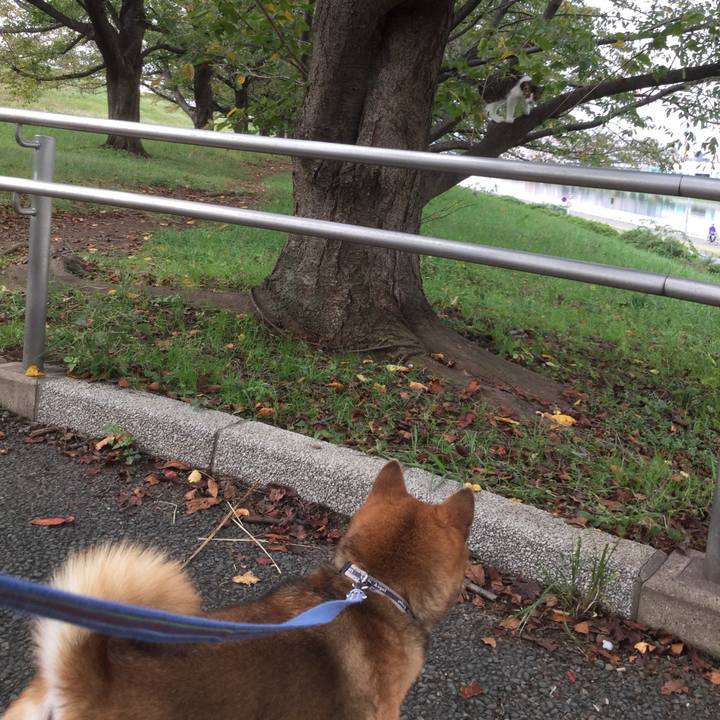 9809b782 6511 4fd8 9ceb e887914aa370 1572493420259