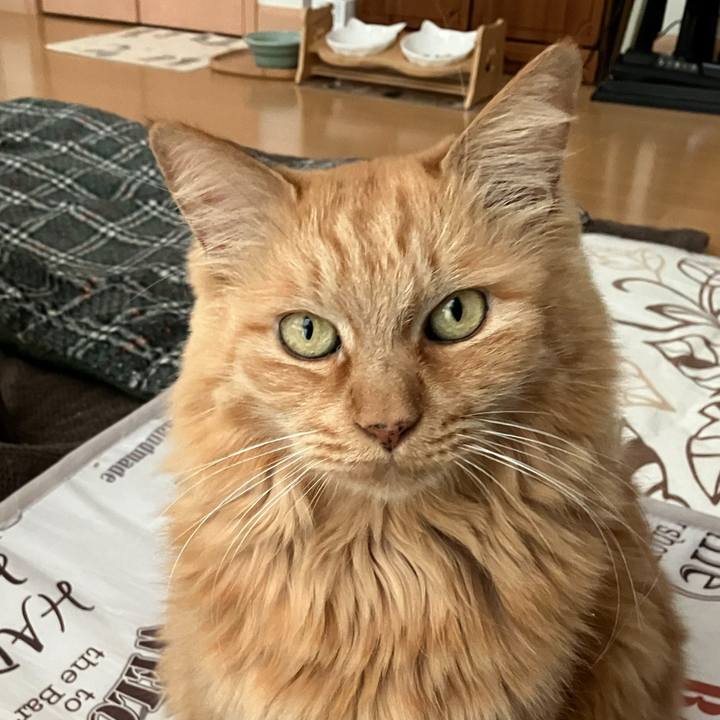 9809bc8f a795 44a0 be26 12f06d83c764 1762813428847