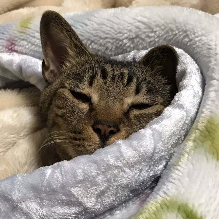 980a1ad4 2813 44aa 82d7 09d26bd86756 1512090249910