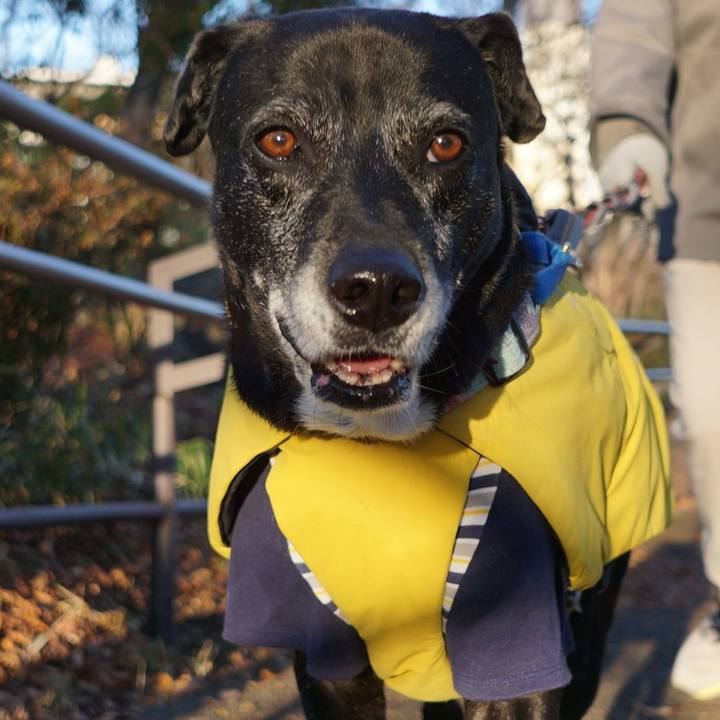 980a1c99 ee94 4bfd b291 ffadf96475d8 1767487684172