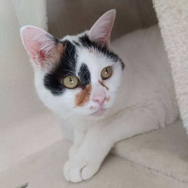 980a3cf5 48b6 434a b397 a323c064796e 1697097505534