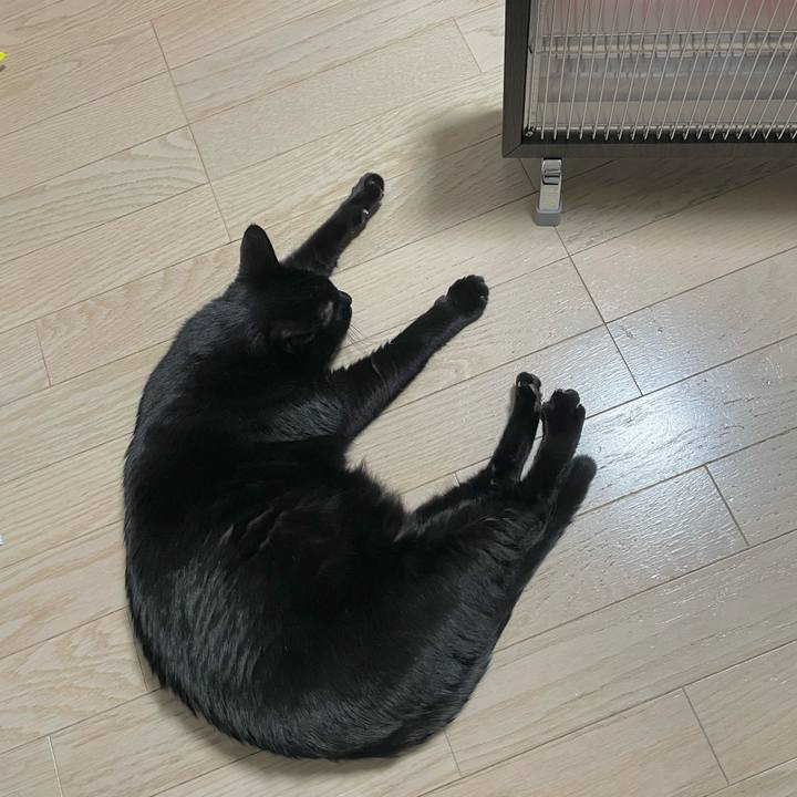 980a515b 77b1 45ad afc1 afeba08992c1 1703680562781