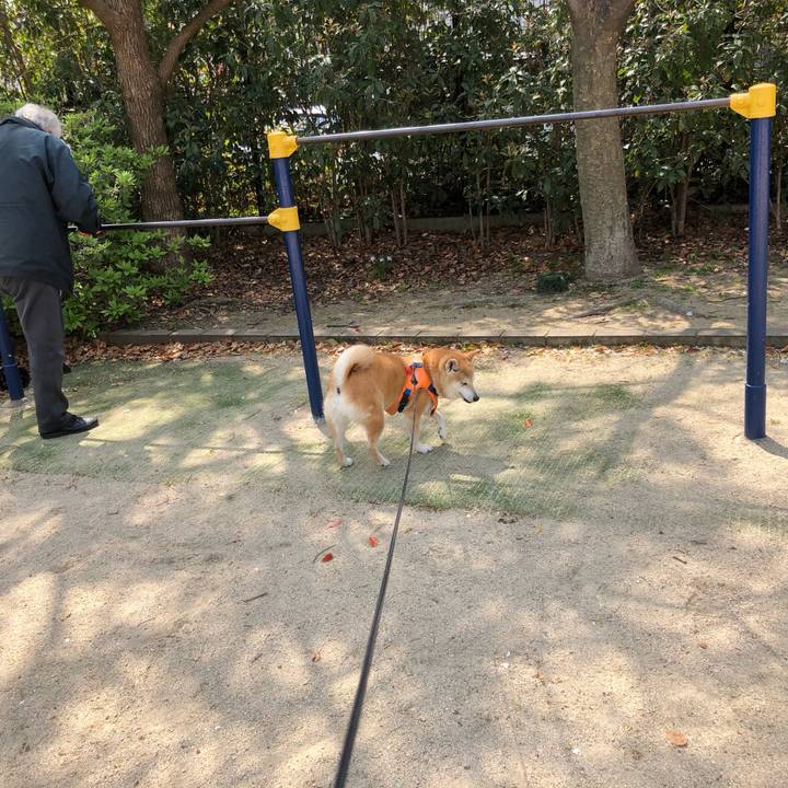 980a5e1f 5d03 4f49 98fd 25e6e091ab3d 1585980582351