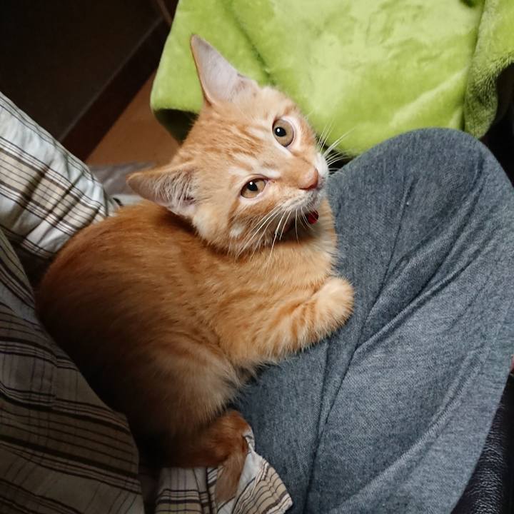 980a8b2a 8882 4530 a3b8 af3117a115d8 1631651885326