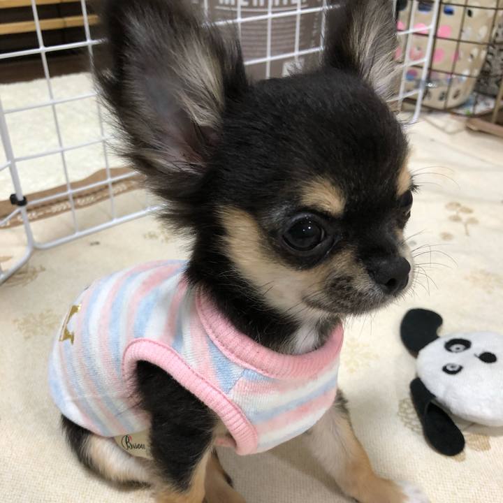 980aac07 3d0a 4308 b770 399d9230fa9a 1536926375615