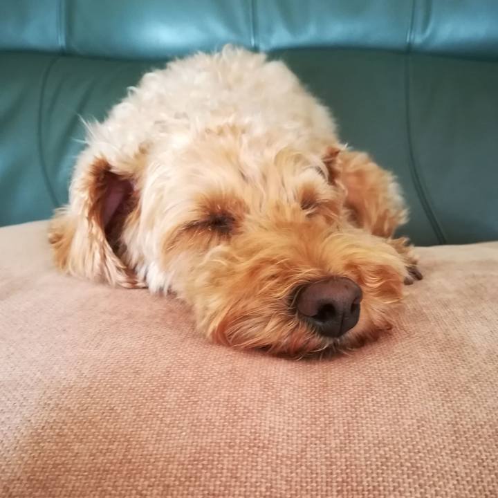 980ad31d 02e2 4879 b621 9ffc72730cba 1564811418209