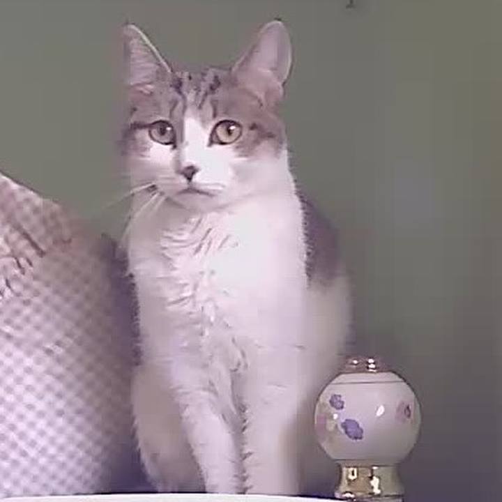 980ad9eb 5a55 4220 b5ec d87af4adb314 1632874877071