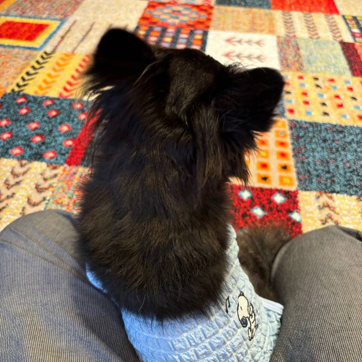 980aeab9 4cef 4dea 807b 0aaa741fb4b2 1726502801046