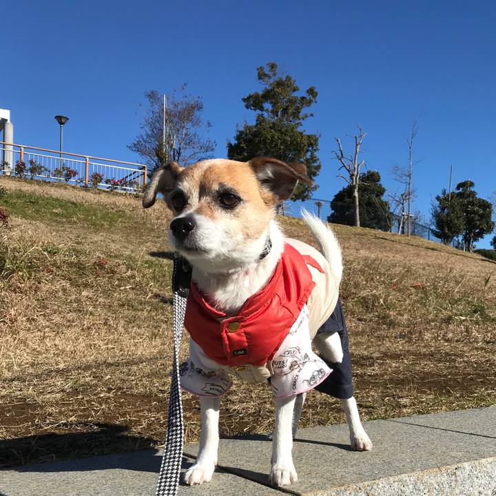 980afab4 3835 467c 9ba8 1fd2ba0b3469 1580529683356