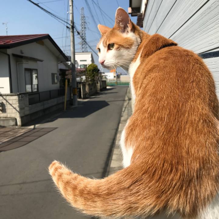 980b12fe 8cf7 4418 b48d 04e994a1feaa 1522213957317