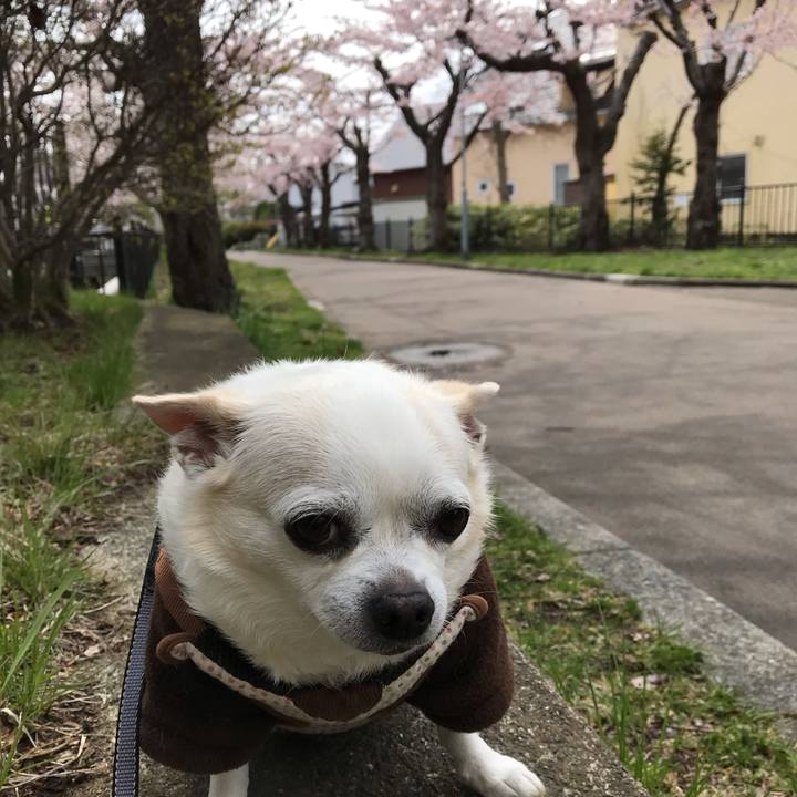 980b15a6 caf0 4611 8fee 981191227c94 1588676528476