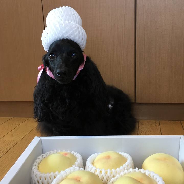 980b15cc 323d 4a32 a82f 47f5232968db 1565515313259