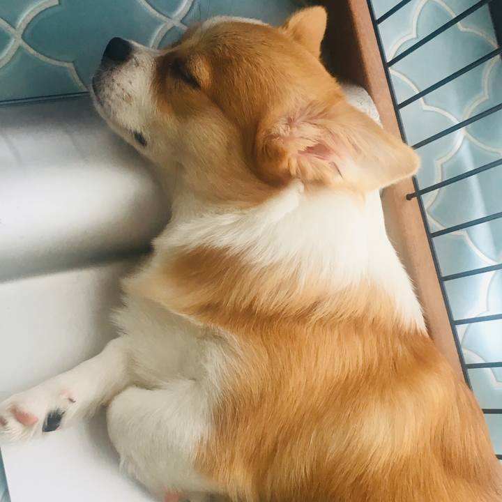 980b56fa 3fa7 426d 8b8d 40efec636f92 1564024394325