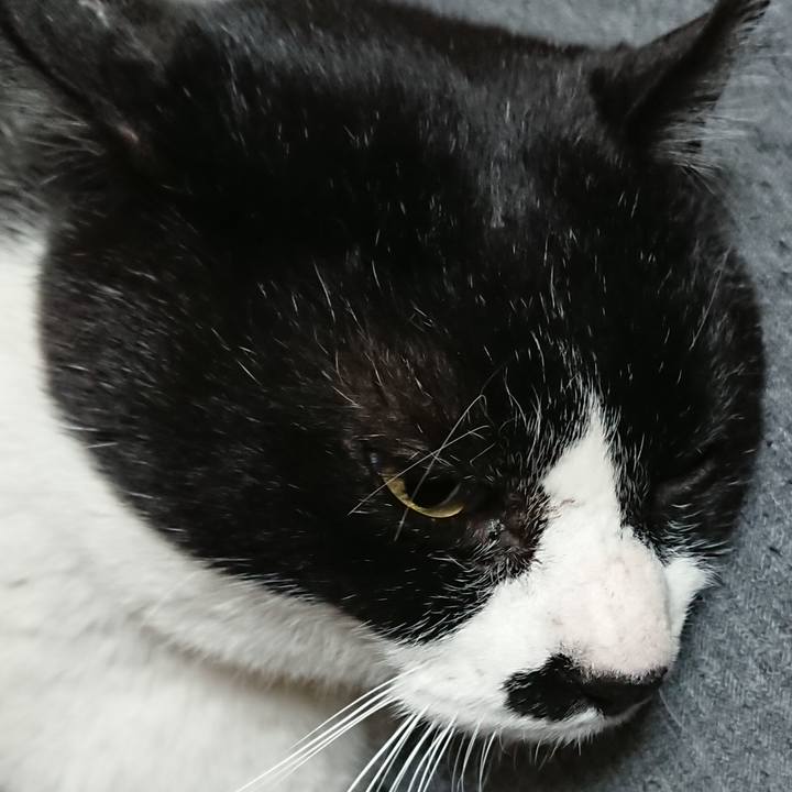 980b6699 c893 4591 b10b 5f61ec05e745 1553328983998