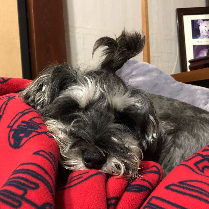 980b6abd 2c17 474b 87cf d8e62bcfc726 1543150718034