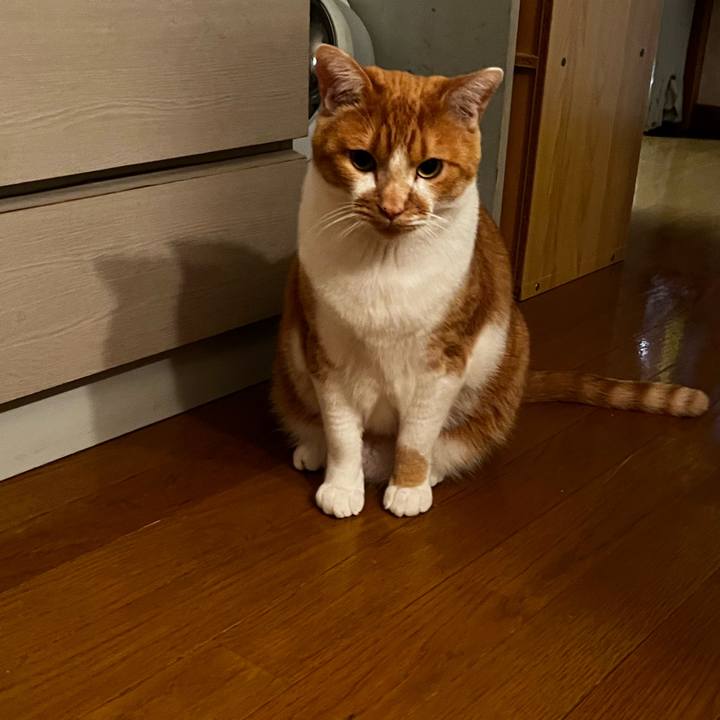 980b77ed 30a8 40a3 932f a41e724e18d5 1713874022388