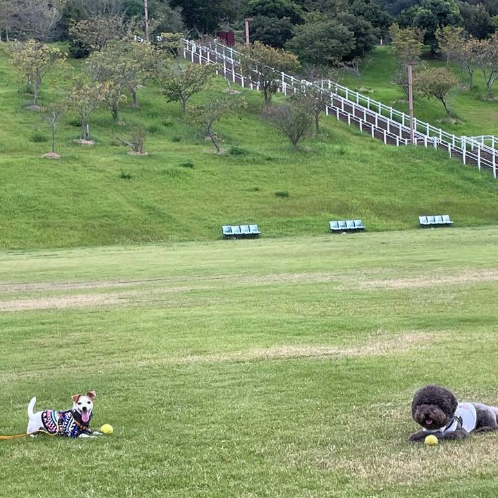 980b7804 699c 4de9 94d5 7f79fcaedb54 1663415168039