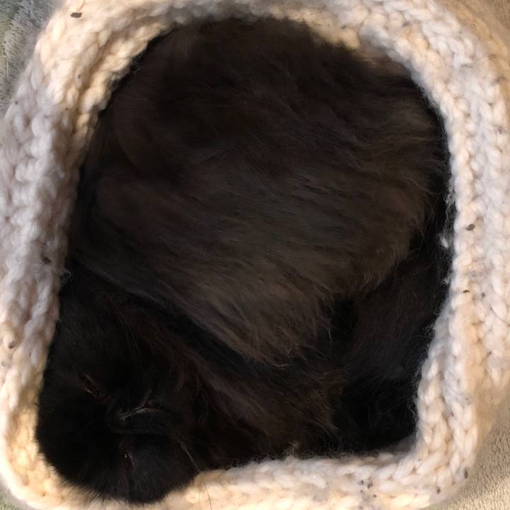 980ba2eb 783f 4ed2 8708 158055b6fdbc 1551181839506