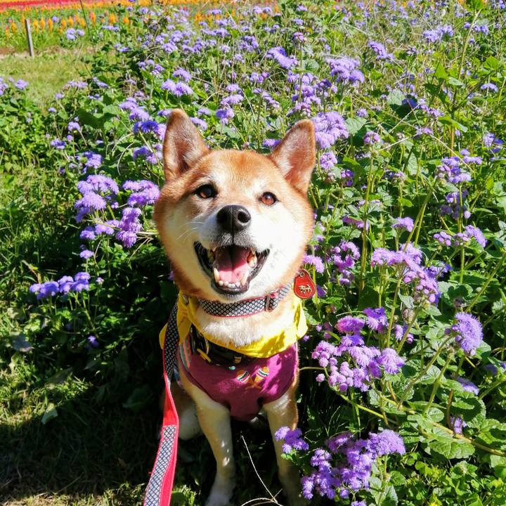 980bd145 ff3e 4861 ab09 f3a463f8bfa0 1632060357509