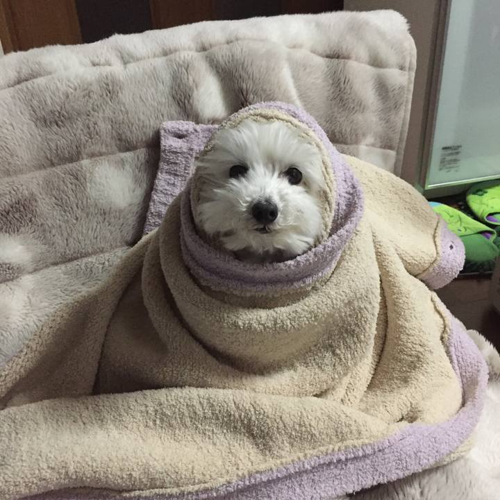 980bd2f9 ec65 4987 9535 1f130c456d46 1518790954216