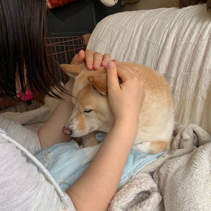 980c1a2b c007 420b a0b7 2a7ce986f58f 1621726408959