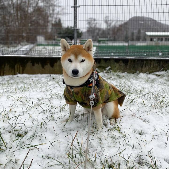 980c48c5 17a7 4c31 80d3 0a760f1514da 1669775918479