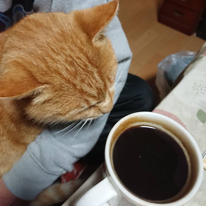 980c5060 aecd 4575 9108 00fb9dbd4f33 1606420600149