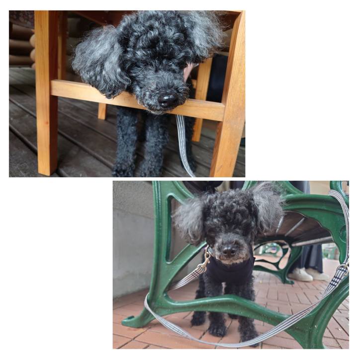 980c6a7a e621 42de b4ed aeb736deaa35 1764404036201