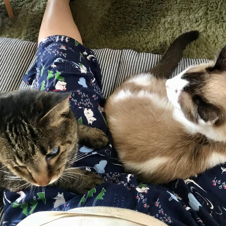 980cc6b2 f979 4860 9f4d c64ebb7869bf 1597123694410