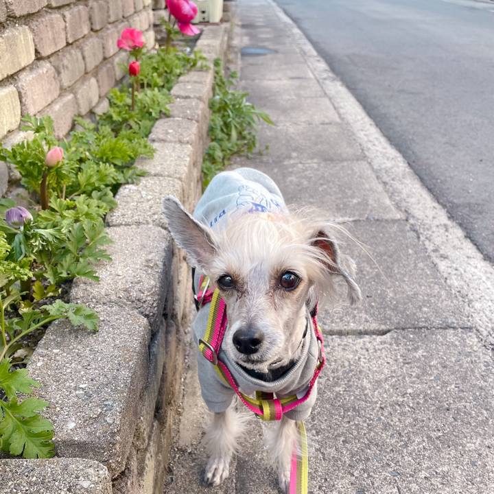 980ccd7c 8518 4311 b7ff 940029ecff52 1773740480288