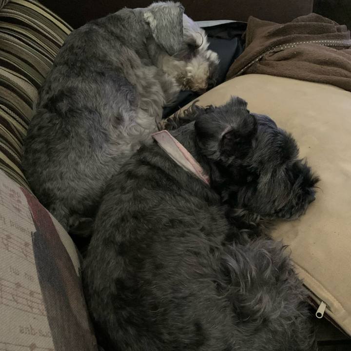 980d0632 7b9e 4db3 ac2d 7fdd0c6d3576 1619936051132