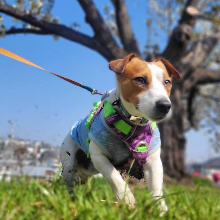 980d071f 23b9 41b6 873b 1b7e934aed62 1679461304895