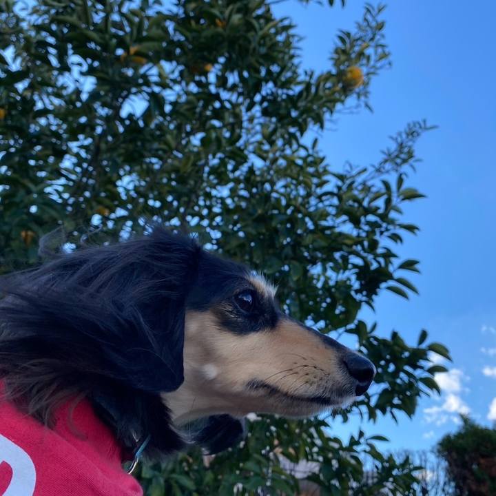 980d29f8 45bc 4c03 a2c4 5b74241e72ed 1734165736418