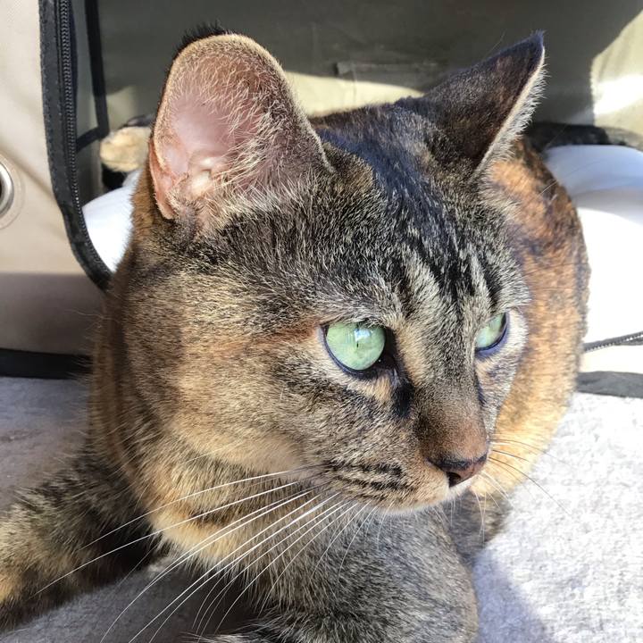 980d6a4f 7053 4902 a3f5 23ecaaa024eb 1728889015255