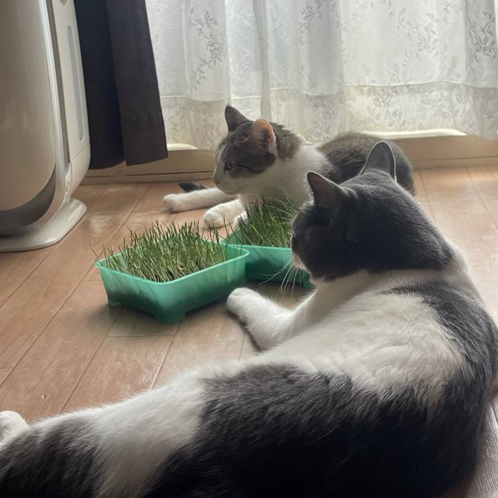 980d8641 0746 4066 bb69 de898c1677c8 1628482153113