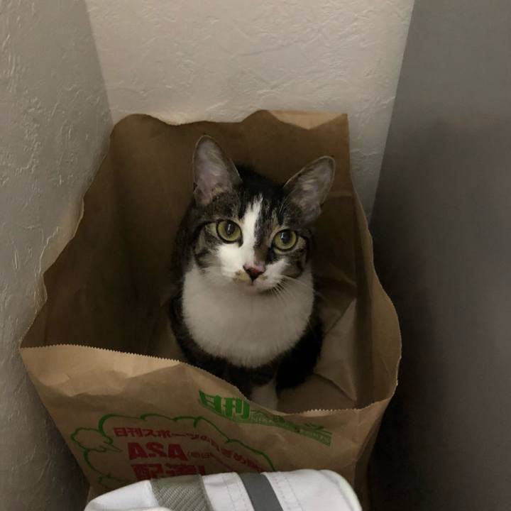 980da285 6771 4576 bf37 2add01e8a5fc 1522976510328