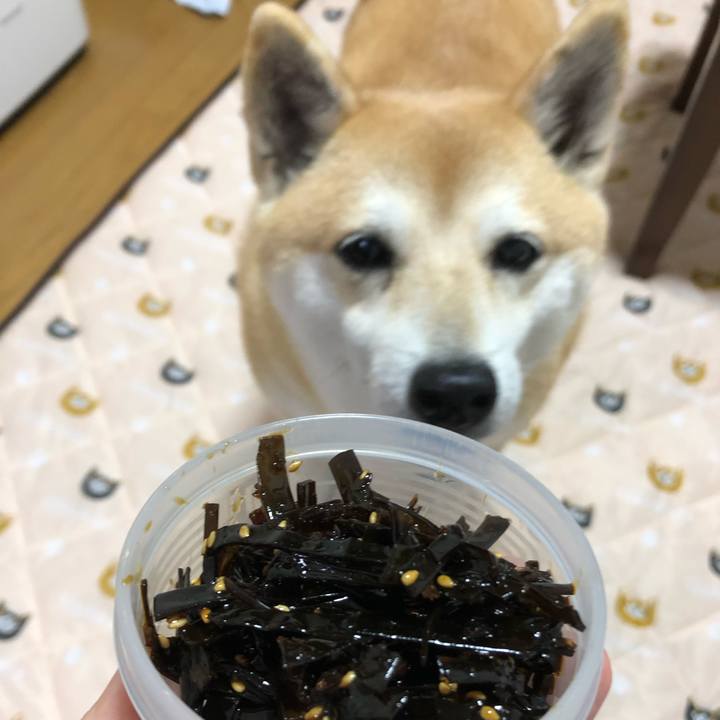 980dbcd3 38b7 42e5 99b6 7c20bd87b037 1558045315656