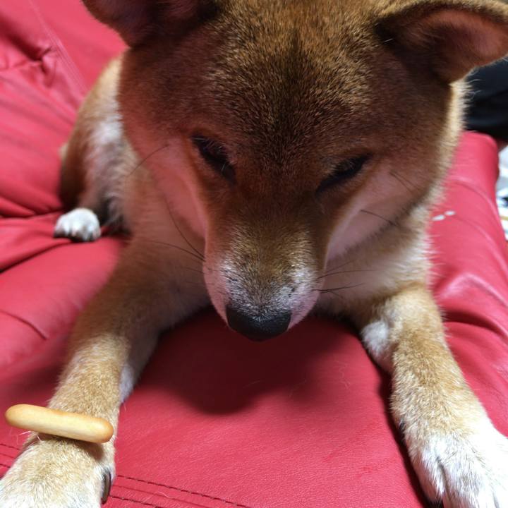 980dce05 cfa0 4db8 8fc5 5da2cad109e4 1566470196294