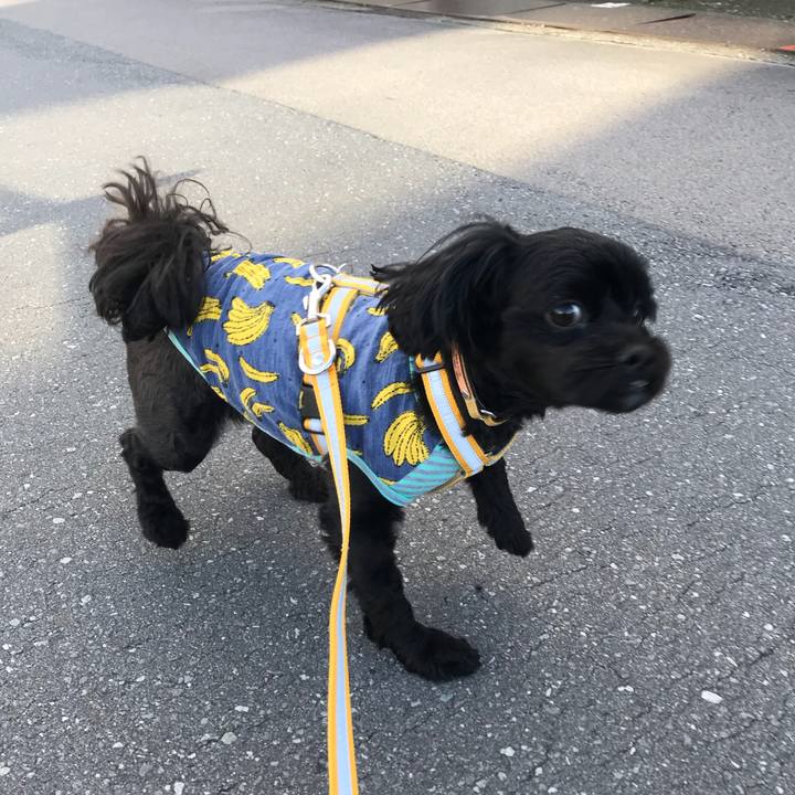 980e153b ba59 489d aef5 a692cb0b4944 1537174160825