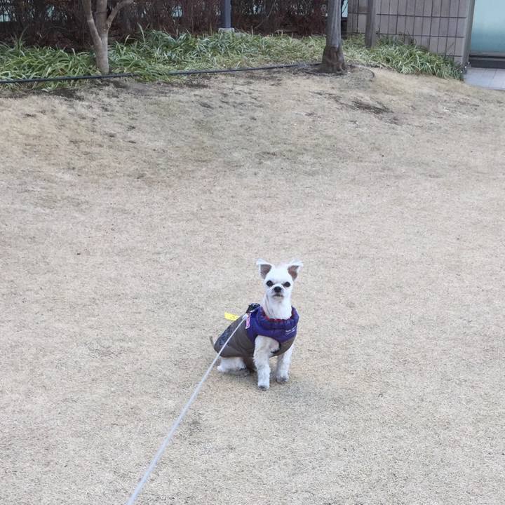 980e2a5c a22a 4d4f ac23 5f92b47f1274 1546064975246