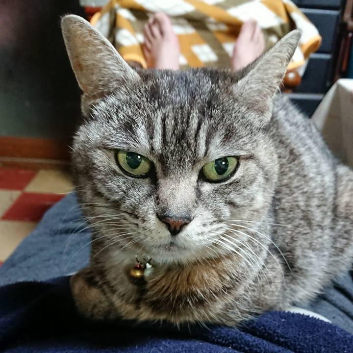 980e3f2d 94c0 42d6 baa3 cd0c59825b26 1552562282654