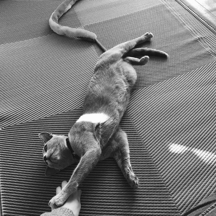 980e7ee4 e68b 4c85 ad40 c2a14c8ce753 1516227238307