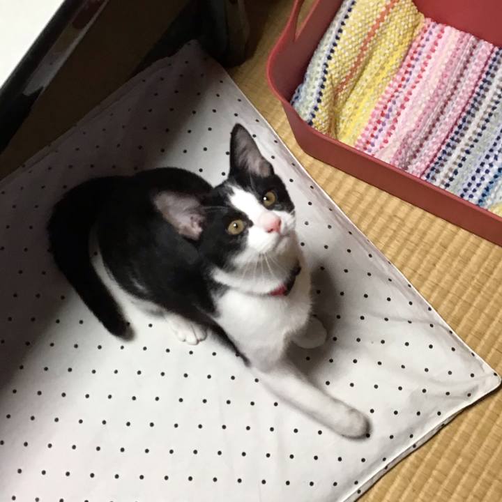 980e991f 6d86 4ffc 911d bdaa631c0bcb 1628761831492