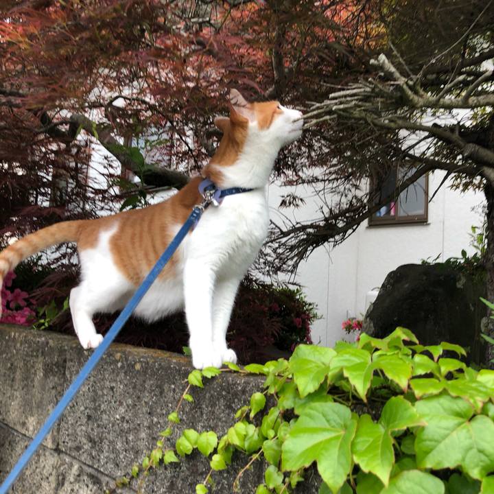 980ec838 7c19 4bcc 9957 dfa8ded51d5e 1560156922883