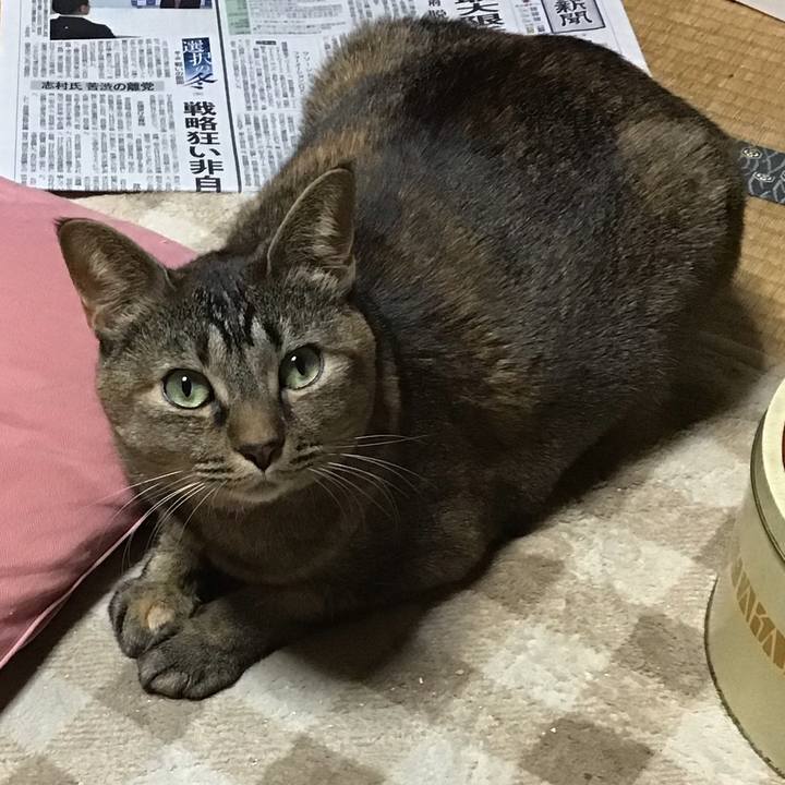 980eca60 f1cb 4d8e b578 f231d9e510e8 1671802547706