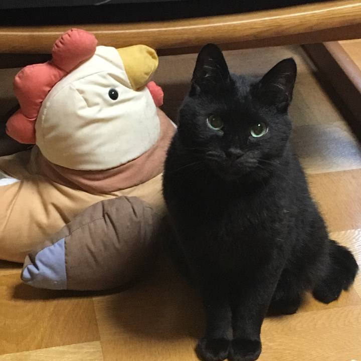 980f2231 5c98 47d1 85cb a36df22fd516 1532550988388