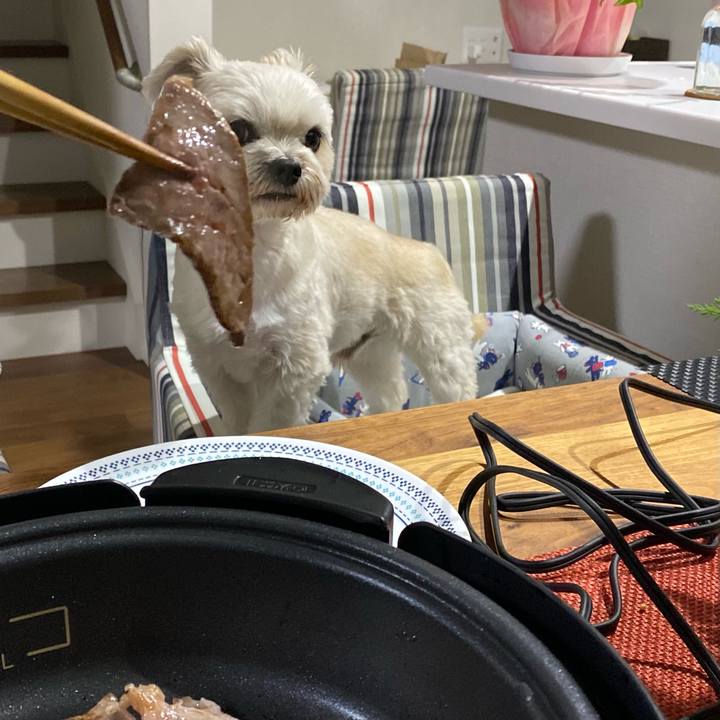 980f3ee7 9b21 4cd4 ae1d 0438154ee26f 1603622301676