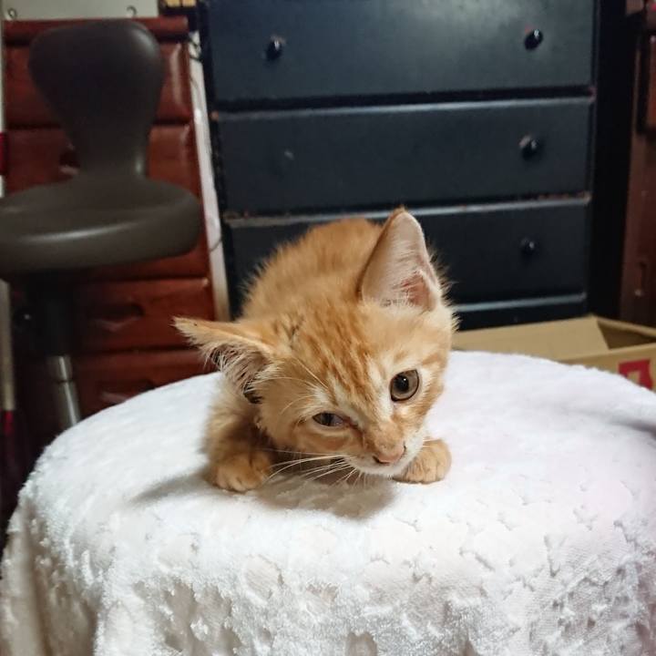 980f3f0c 3cc5 46c1 a003 f7009c7b3c57 1628243622296