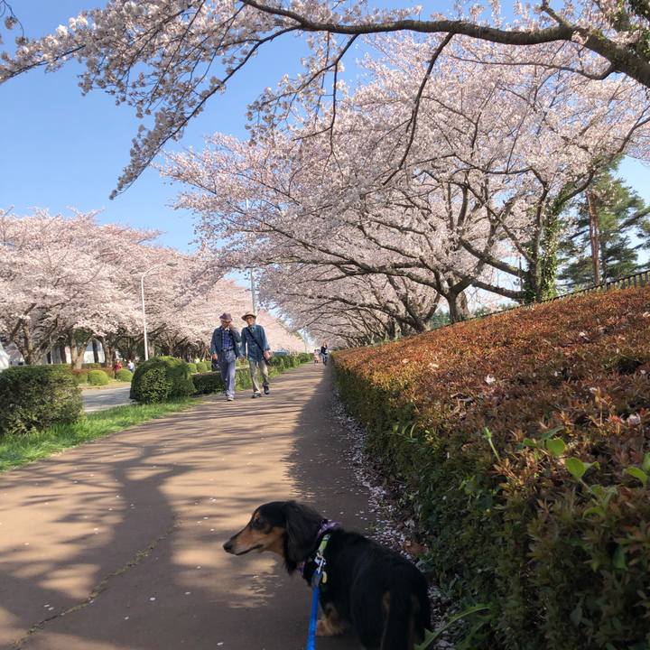 980f9e17 4fdd 47ed a2aa 11d777533f1e 1554551070466